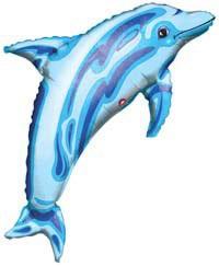 S/shape delfino blu
