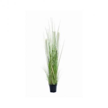 Grass pianta 122cm cr
