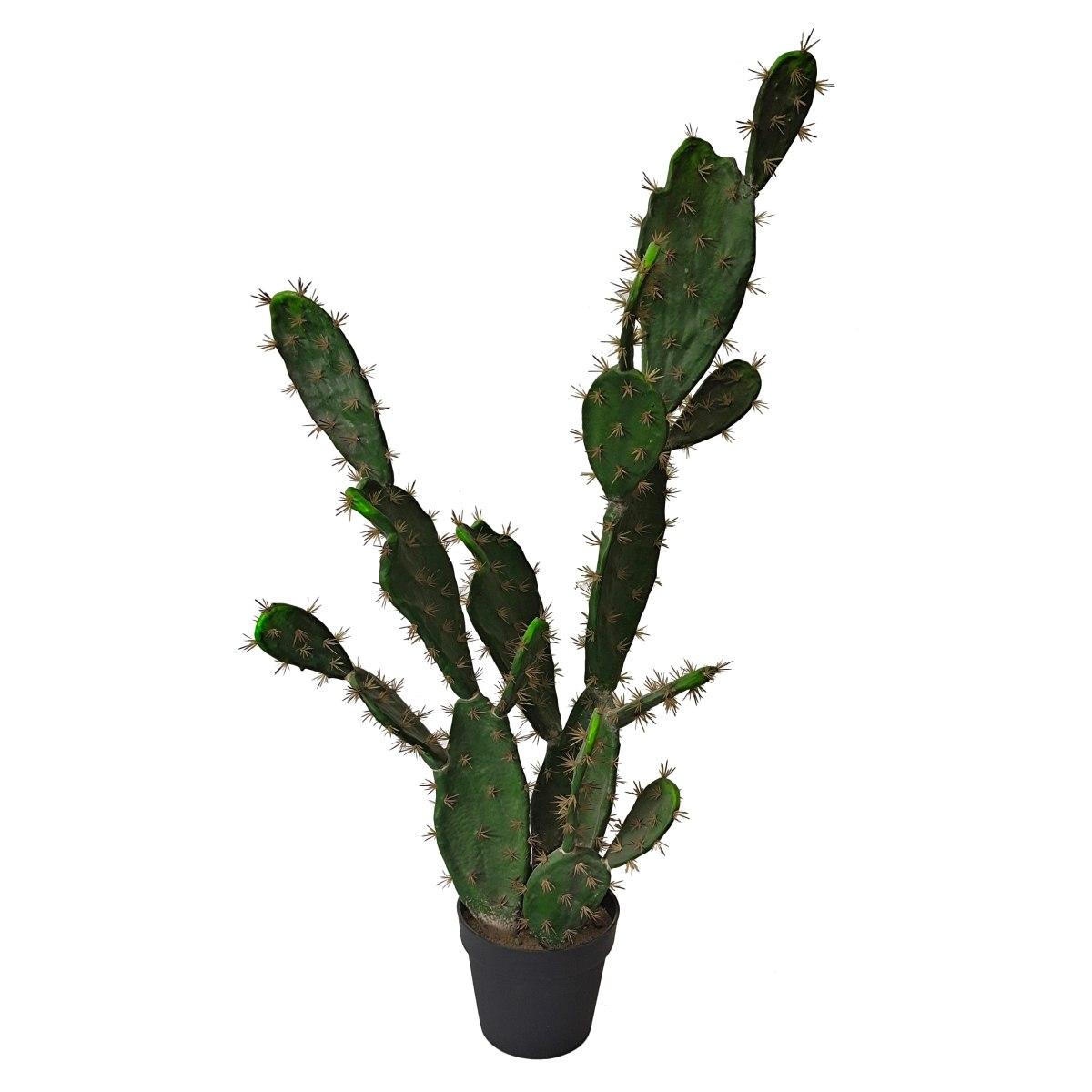 Cactus opuntia con vaso
