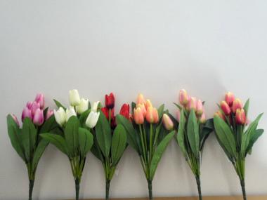 Mazzo tulipano x 9 assortito 6 colori