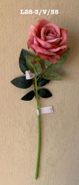 Rosa rosa inglese